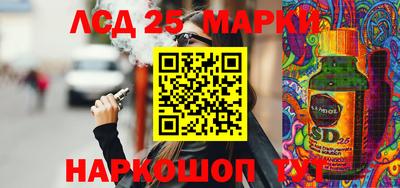 прущие грибы Кандалакша
