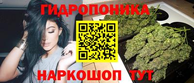 прущие грибы Кандалакша