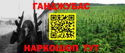 прущие грибы Кандалакша