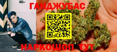 прущие грибы Кандалакша