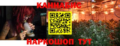 прущие грибы Кандалакша