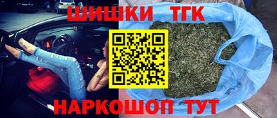 прущие грибы Кандалакша
