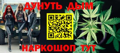 прущие грибы Кандалакша