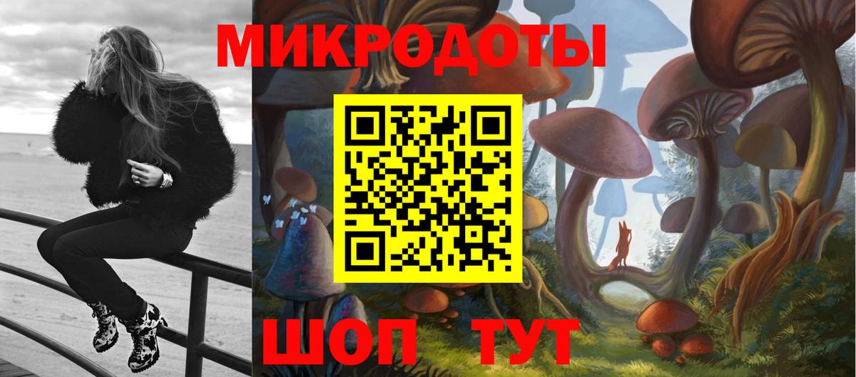 Псилоцибиновые грибы мицелий Кропоткин
